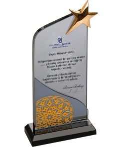 EKT-101 Kristal Plaket