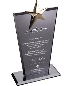 EKT-128-FM Füme Kristal Plaket