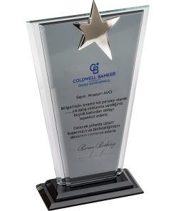 EKT-210 Kristal Plaket