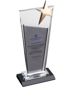 EKT-215 Kristal Plaket