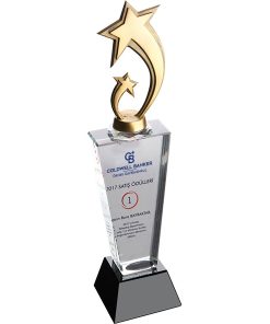 EKT-240 Kristal Plaket